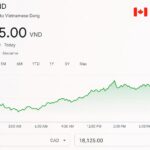CAD to VND: The Complete Canadian Guide to Converting Canadian Dollars to Vietnamese Dong