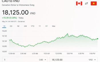 CAD to VND: The Complete Canadian Guide to Converting Canadian Dollars to Vietnamese Dong